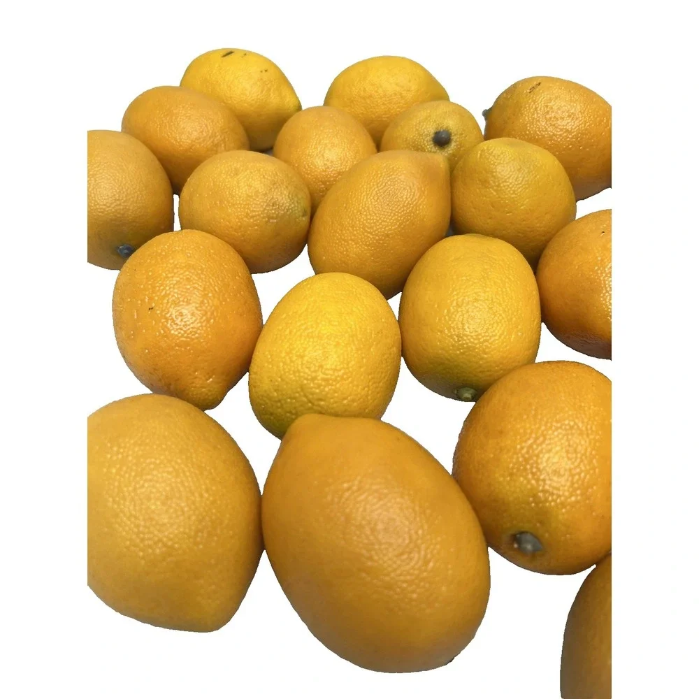 20 Heavy Quality Realistic Artificial Faux Fake Lemon Fruit Decor Photo Prop
